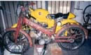 Isociclo motore rex 49cc 1955